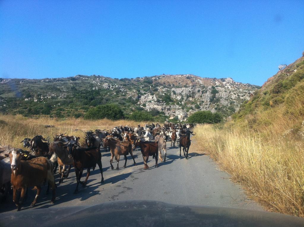 Philothea Mani Greece